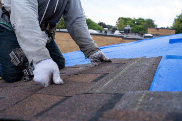 Best Roof Leak Repair  in Toledo, IA