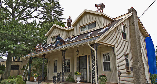 Best Roof Waterproofing Services  in Toledo, IA